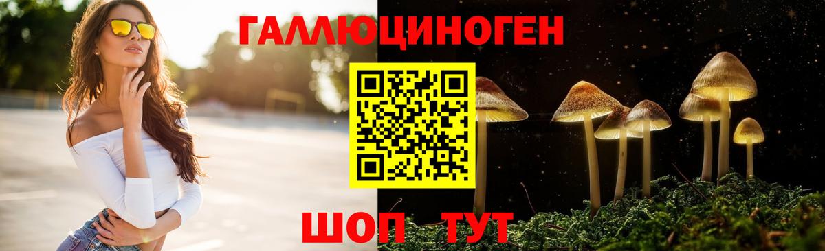 Дербент  Псилоцибиновые грибы Magic Shrooms  Вход с VPN 